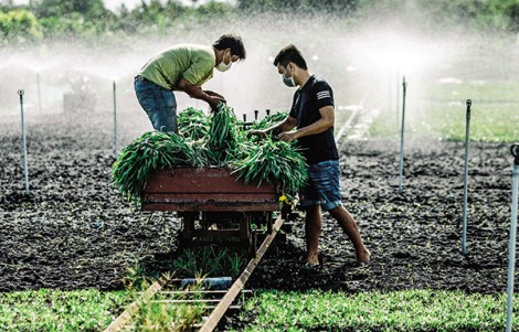 Hỗ trợ doanh nghiệp, hợp tác xã, hộ kinh doanh
