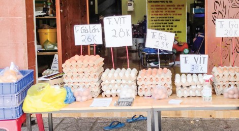 Giá trứng gia cầm giảm mạnh trở lại