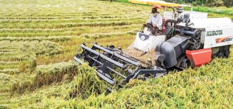 Chuyển biến tích cực ở Cờ Đỏ