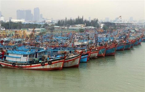 Theo dõi và chủ động ứng phó với khả năng bão trên Biển Đông