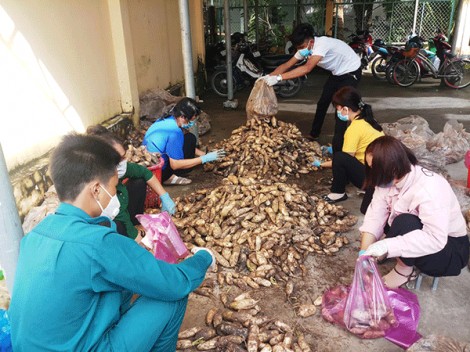 Thúc đẩy sản xuất, lưu thông, tiêu thụ nông sản