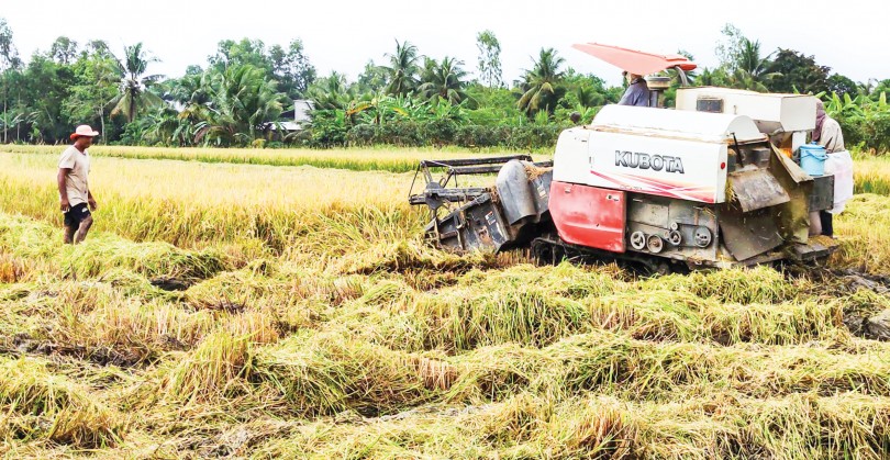 Chủ động né hạn mặn và giảm chi phí sản xuất
