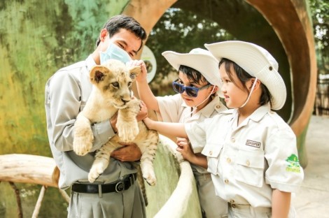 Một ngày vào vai “nhà động vật học” giữa “thiên đường hoang dã” Vinpearl Safari