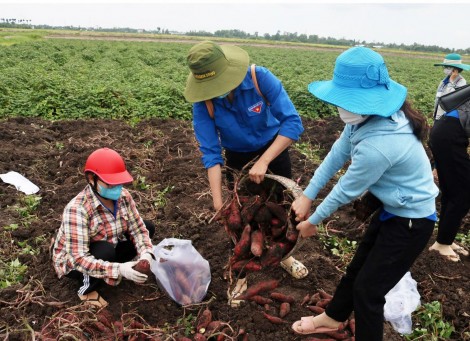 Thanh niên Kiên Giang xung kích trong phòng, chống dịch COVID-19