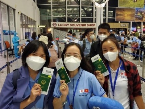 Nhật Bản "rộng cửa" đón điều dưỡng, hộ lý Việt Nam sang làm việc