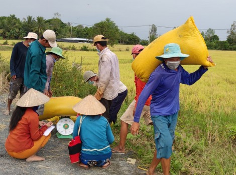 Ngành Nông nghiệp nỗ lực vượt khó!