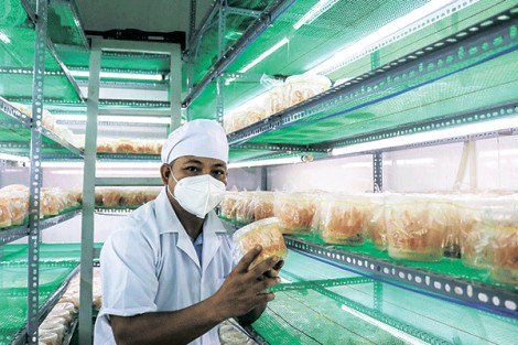 Hỗ trợ hợp tác xã bắt nhịp chuyển đổi số
