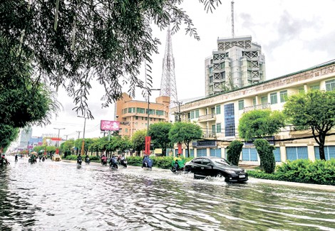 Chủ động phòng chống thiên tai đảm bảo an toàn cho sản xuất, kinh doanh