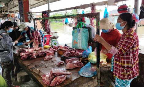 Cần kịp thời gỡ khó cho ngành chăn nuôi heo