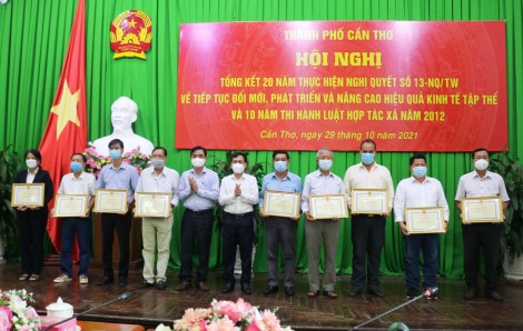 Nhân rộng mô hình hợp tác xã kiểu mới gắn với sản phẩm chủ lực của thành phố