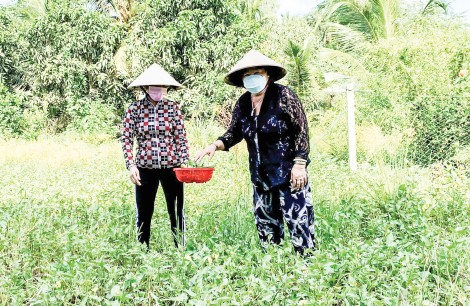 Đổi mới, sáng tạo trong hoạt động