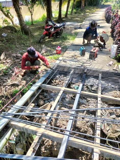 Dồn sức phục hồi kinh tế