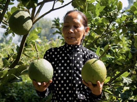 Chị Ảnh khởi nghiệp!