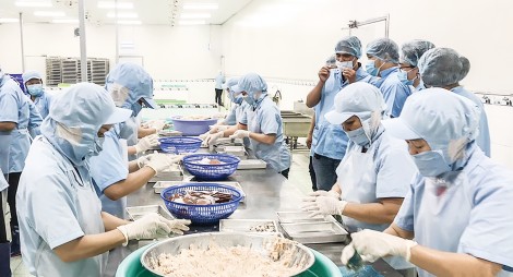 Xây dựng hợp tác xã là động lực phát triển kinh tế nông thôn