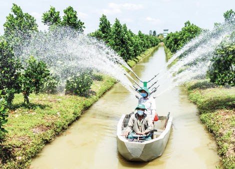 Nỗ lực phát triển sản xuất, hướng đến nền nông nghiệp hiện đại, hiệu quả