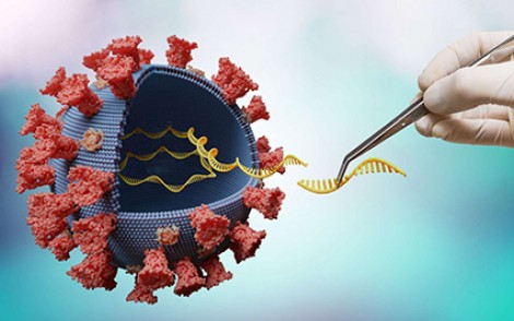 5 loại protein trong SARS-CoV-2 gây tổn thương mạch máu