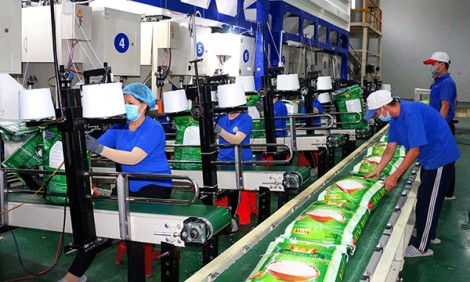 EVFTA - sức bật hợp tác thương mại đầu tư