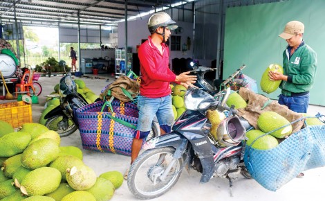 Trung Quốc không còn là thị trường nhập khẩu “dễ tính”