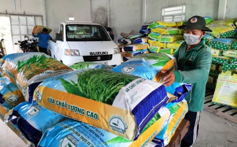 Tăng cường kết nối thúc đẩy sản xuất và tiêu thụ các sản phẩm trồng trọt vụ đông xuân