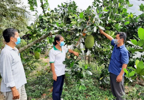 Lan tỏa hành động làm theo Bác