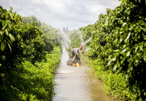 Tỉ phú hạnh ở xứ Hòn
