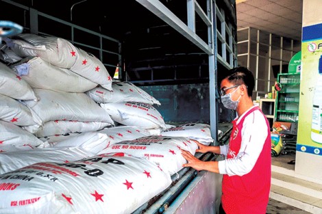 Giá phân bón tiếp tục lập mức cao kỷ lục mới