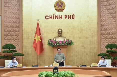 Đẩy mạnh các hoạt động phục hồi, phát triển kinh tế-xã hội
