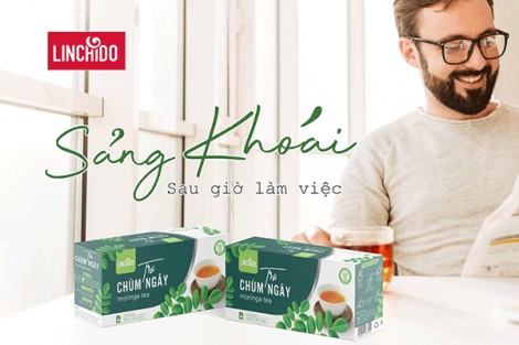 Trà chùm ngây bổ sung dưỡng chất thế nào?