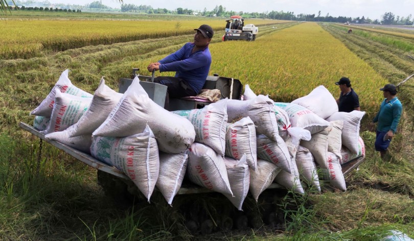 Phát triển nông nghiệp, nâng cao thu nhập người dân nông thôn