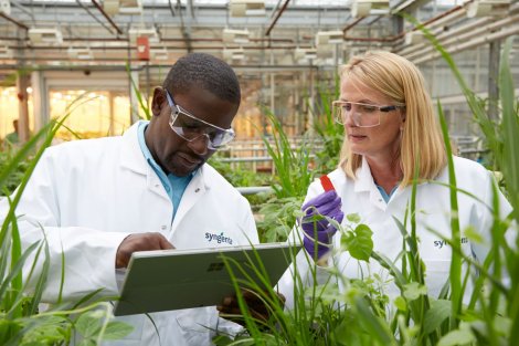 Syngenta giới thiệu công nghệ PLINAZOLIN