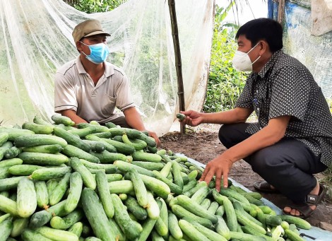 Giúp người dân ổn định cuộc sống