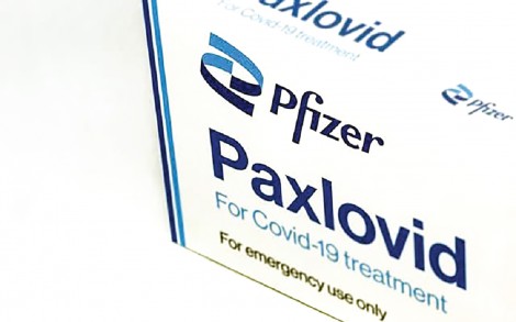 Pfizer sẵn sàng bàn giao thuốc điều trị COVID-19