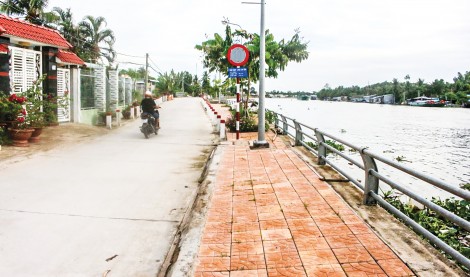 Nhiều giải pháp hạn chế sụt lún, sạt lở đất tại vùng ĐBSCL