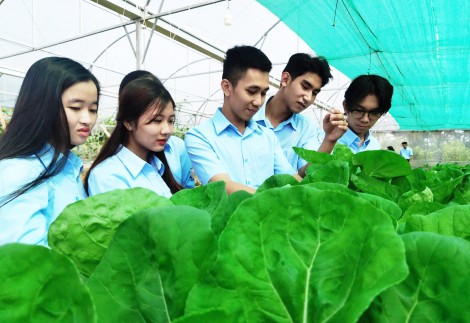 Không ngừng nâng cao chất lượng quản lý và đào tạo