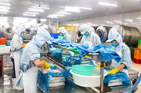 Rà soát và thực hiện việc đăng ký doanh nghiệp xuất khẩu thủy sản sang Trung Quốc