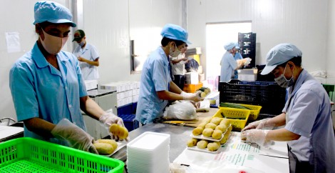 Hỗ trợ doanh nghiệp nhỏ và vừa thích ứng, phục hồi sản xuất kinh doanh trong tình hình mới