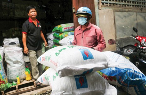 Giá nhiều loại phân bón chững lại, Urê giảm