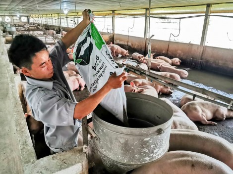 Kết nối, cung cấp sản phẩm chăn nuôi sạch vào chuỗi cửa hàng tiện ích