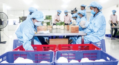 Để phát triển xuất khẩu nông sản vào thị trường EU