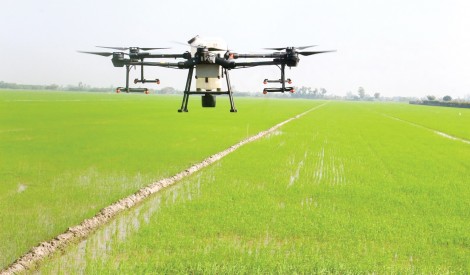 Vĩnh Thạnh phát huy hiệu quả kinh tế tập thể
