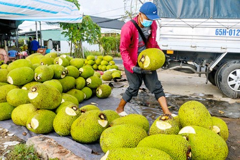 Khai thác tốt thị trường nội địa, gỡ khó “đầu ra” nông sản
