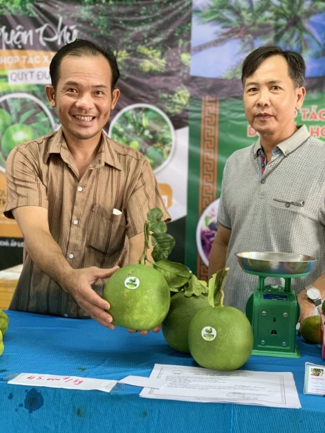 Nhìn cơ hội chỉ thấy toàn thách thức!
