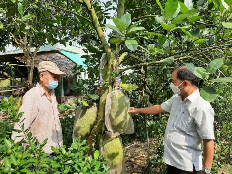 Tập trung lãnh đạo xây dựng xã nông thôn mới nâng cao