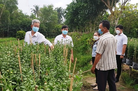 Bình Thủy cung ứng khoảng 300.000 giỏ hoa phục vụ Tết