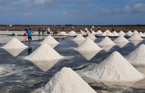 Nghề muối tại Bạc Liêu: Canh cánh những nỗi lo cũ với diêm dân