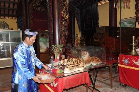 Kể chuyện cọp ở miền Tây