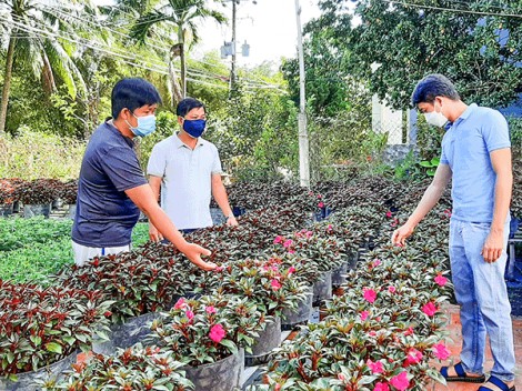 Làm việc có lợi cho dân