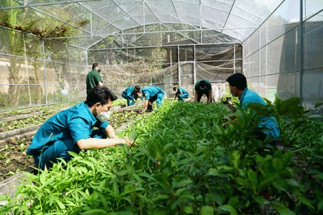 Thực hiện tốt chính sách hậu phương Quân đội