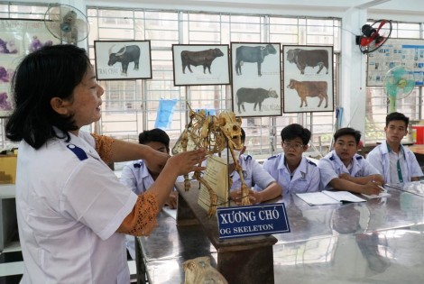 Trường Cao đẳng Kinh tế - Kỹ thuật Cần Thơ tuyển hơn 2.000 sinh viên