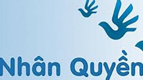 Ai đang mượn danh nhân quyền để chống phá?